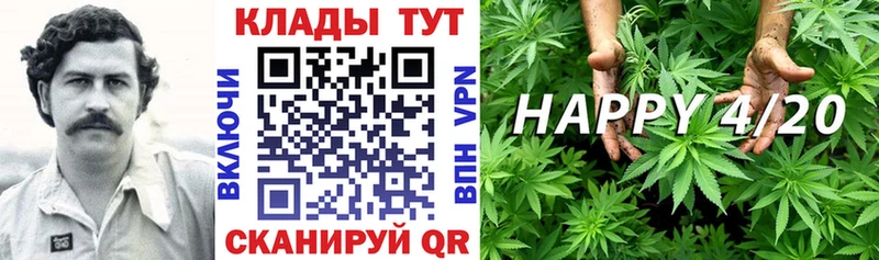 Сколько стоит Всеволожск ГАШИШ Конопля Альфа ПВП Мефедрон OMG зеркало COCAIN