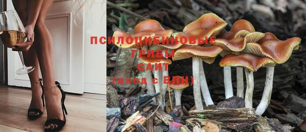 меф Алзамай