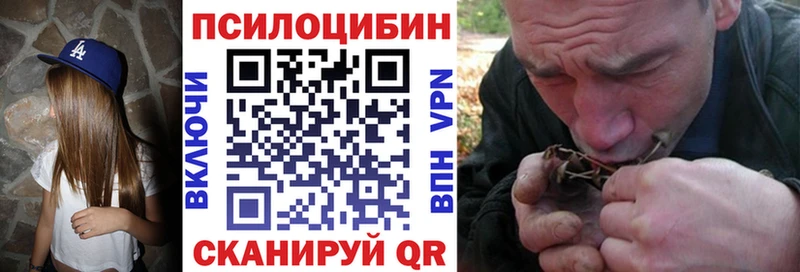 закладки  Всеволожск  Псилоцибиновые грибы мухоморы 