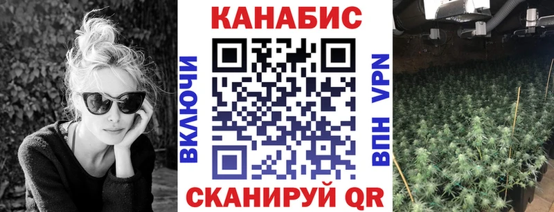Бошки Шишки семена  где купить   Всеволожск 
